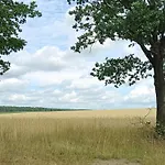Naturnahe *