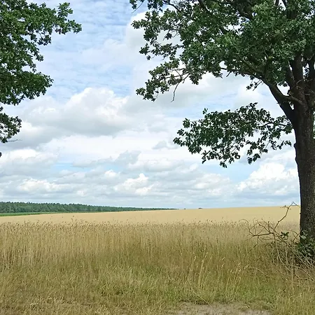 Naturnahe *