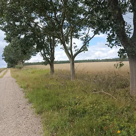 Naturnahe