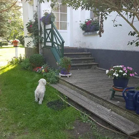 Naturnahe Ruthenbeck